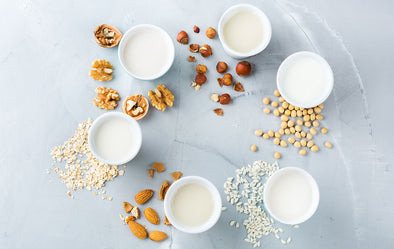 Got Milk? Breaking Down the Differences between Dairy and Plant-Based Milk Products